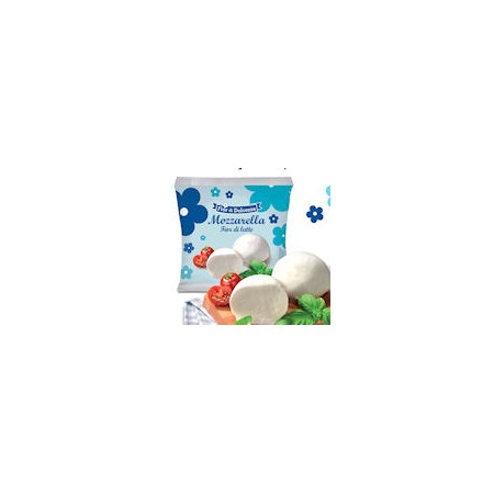 MOZZARELLA INCARTATA BOCCONCINI GR.100