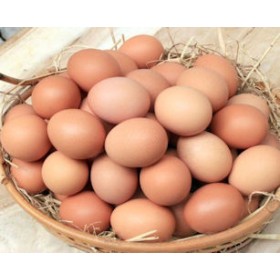 UOVA LARGE IN GUSCIO CARTONE DA 90 PZ