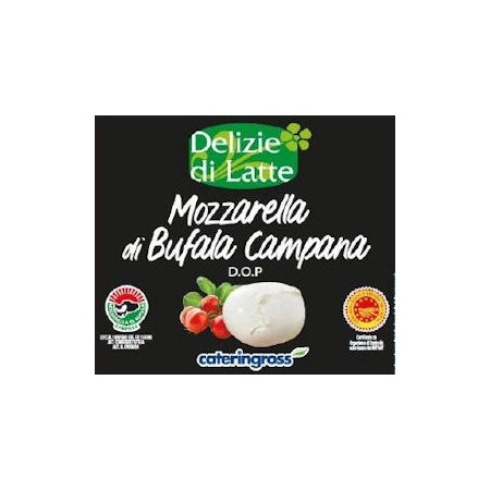 MOZZARELLA DI BUFALA CAMPANA DOP GR.250