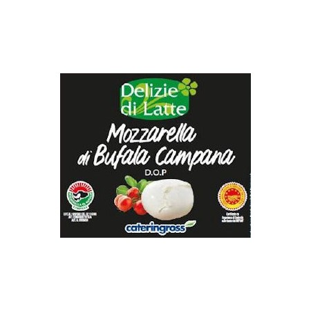 MOZZARELLA D.O.P. BUFALA CAMPANA GR.125