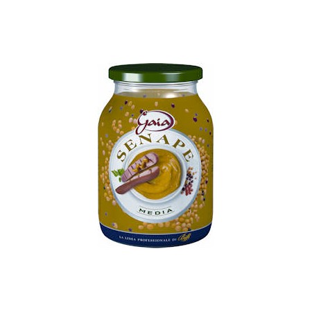 SENAPE BIFFI PRO CLASSICA  VASO  KG.1