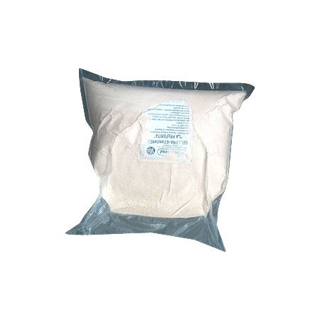 GELATINA ISTANTANEA POLV. KG.2