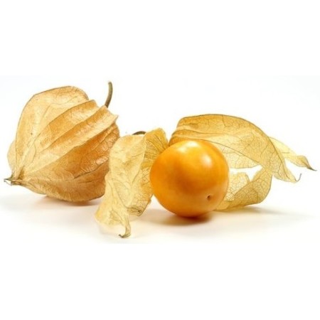 ALCHECHENGI 100 GR FRESCHI