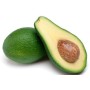 AVOCADO SFUSO FRESCO