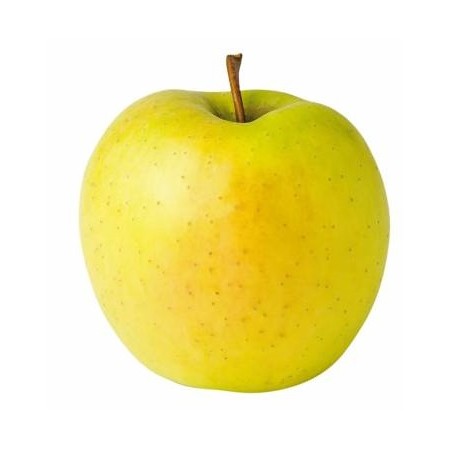 MELE GOLDEN CASSA FRESCHE
