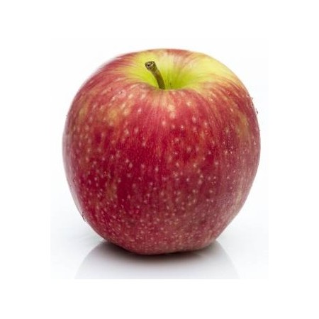 MELE PINK LADY FRESCHE