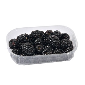 MORE VASSOIO 125 GR FRESCHE