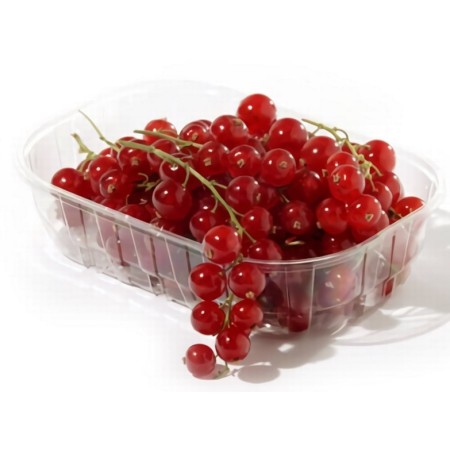 RIBES VASSOIO 125 GR FRESCHI