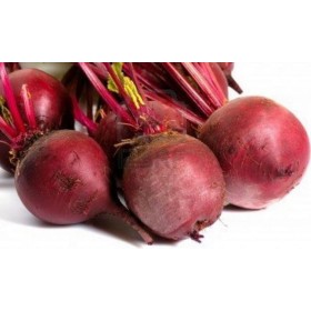 BARBABIETOLA CRUDA FRESCA