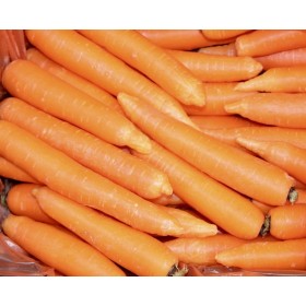 CAROTE SFUSE FRESCHE