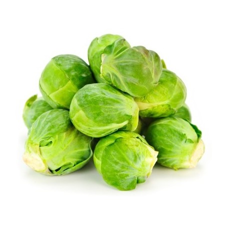 CAVOLINI BRUXEL VASSOIO 350 GR FRESCHI