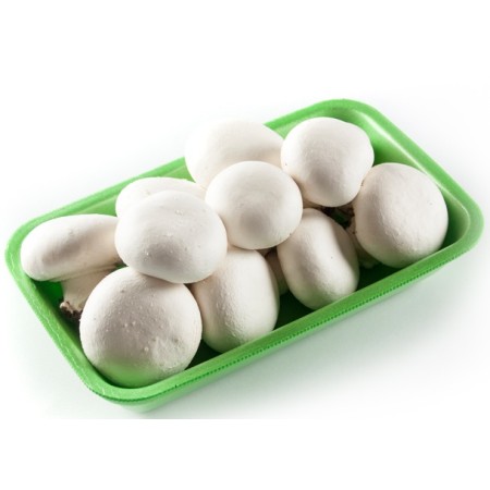 FUNGHI CHAMPIGNON VASSOIO 500 GR FRESCHI