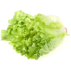 INSALATA SCAROLA FRESCA