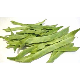 PIATTONE VERDE FRESCO