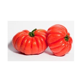 POMODORO CUORE DI BUEFRESCO