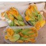 FIORI DI ZUCCA 100 GR FRESCHI