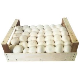 FUNGHI CHAMPIGNON SFUSI FRESCHI