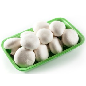 FUNGHI CHAMPIGNON VASSOIO 500 GR FRESCHI