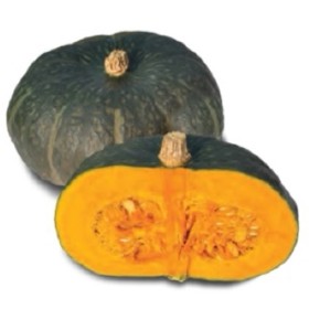 ZUCCA DELICA FRESCA