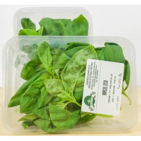 BASILICO VASSOIO 30 GR FRESCO