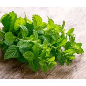 MENTA VASSOIO 150 GR FRESCA