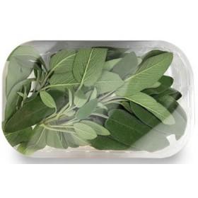 SALVIA VASSOIO 30 GR FRESCA