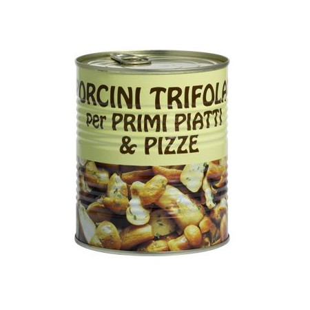 PORCINI TRIFOL.PRIMI PIATTI&PIZZA GR.800