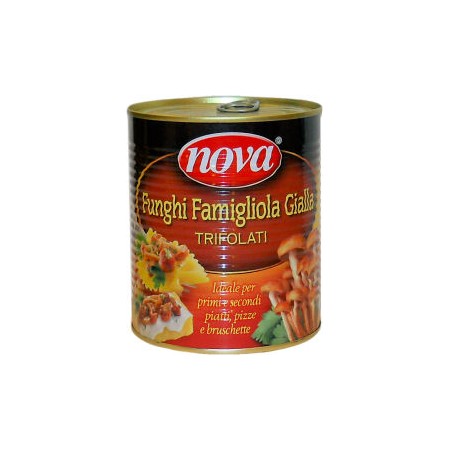 CHIODINI TRIFOLATI NAMEKO BAR.GR.800