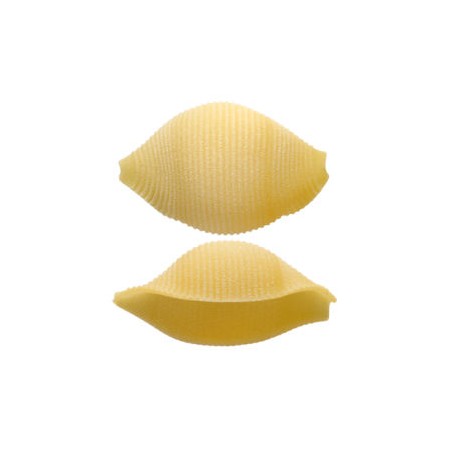 CONCHIGLIONI 147 RUMMO LENTA LAV. GR.500