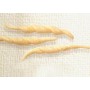 MEZZI RIGATONI SENATORE CAPPELLI KG.1