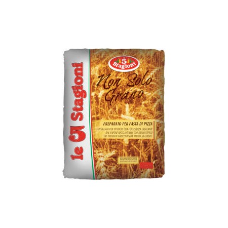 FARINA NONSOLOGRANO '5 STAGIONI' KG.10
