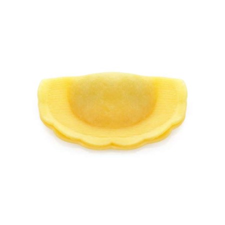 CASONCELLI KG.1 GELO