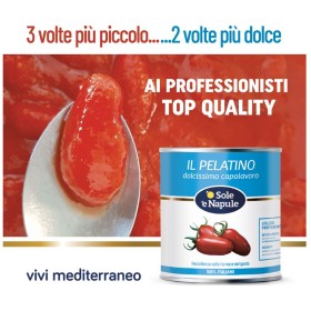 POMODORO'IL PELATINO'100% ITALIA KG.2,6