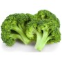 BROCCOLETTI FRESCHI