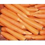 CAROTE SFUSE FRESCHE