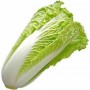 INSALATA MILANO (CICORIA) FRESCA