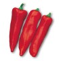 PEPERONI CORNO FRESCHI
