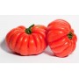 POMODORO CUORE DI BUEFRESCO