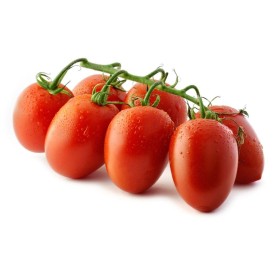 POMODORO DATTERINO FRESCO
