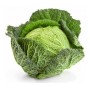 VERZE SFUSE FRESCHE