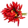 PEPERONCINI PICCANTI ROSSI MAZZO FRESCHI