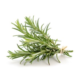ROSMARINO VASSOIO 30 GR FRESCO