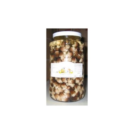 FUNGHI DI MUSCHIO IN OLIO VEGET.KG.3,1