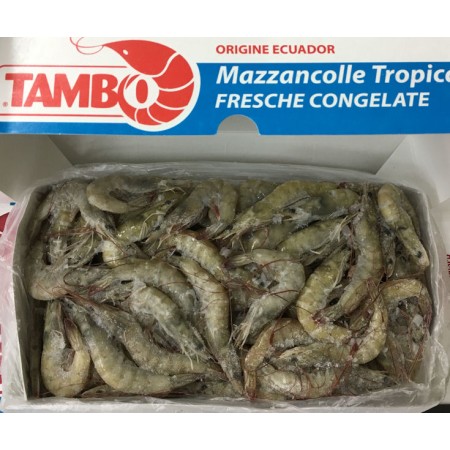 MAZZ.INTERA EC 31/40 KG.2 PP GELO