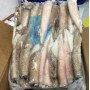 CALAMARI SP.PATAG.C4 5 KG RIAZOR