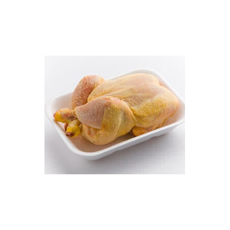 GALLETTI AMBURGHESI FILM IT