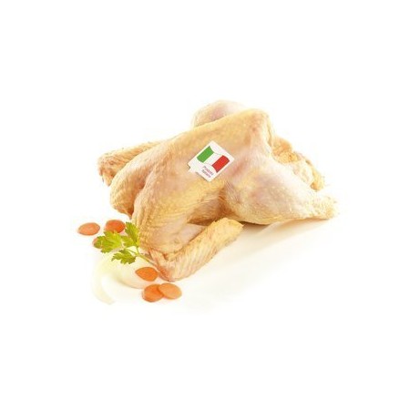 GALLINA IT