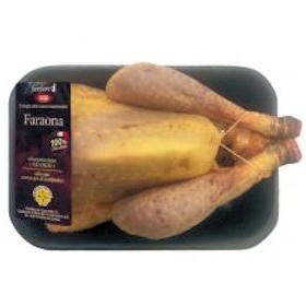 FARAONA IT