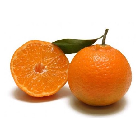 CLEMENTINI MEDI