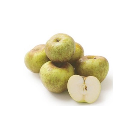 MELE RENETTA + FRESCHE